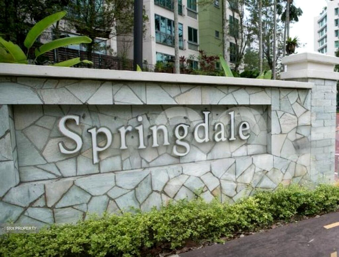 Springdale Condominium (D21), Condominium #461082541